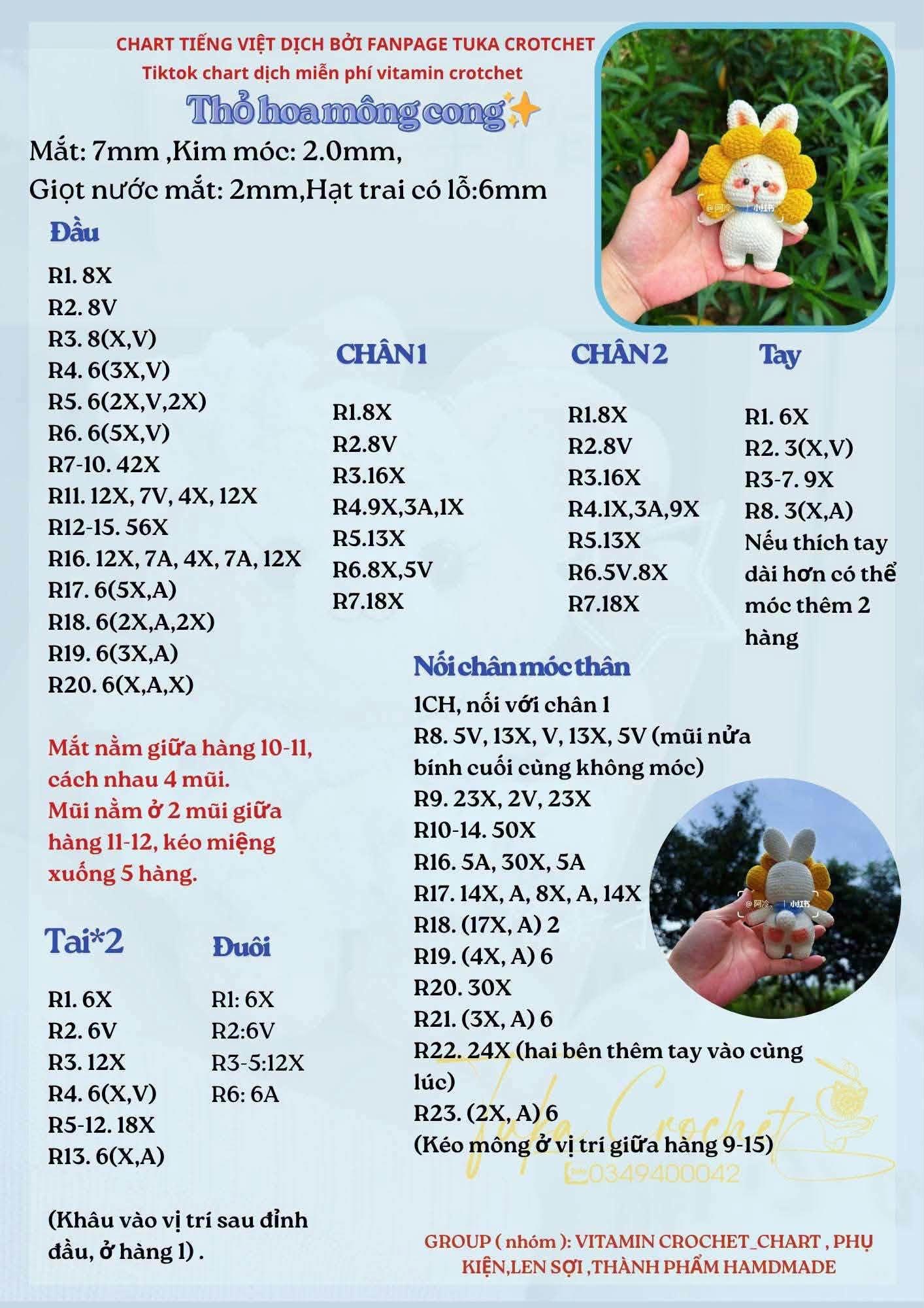 Thỏ bờm hoa vàng mông cong