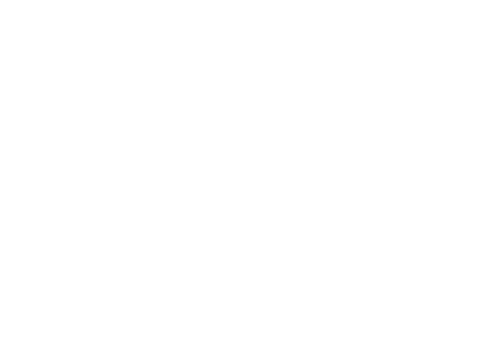 Viking Cargo