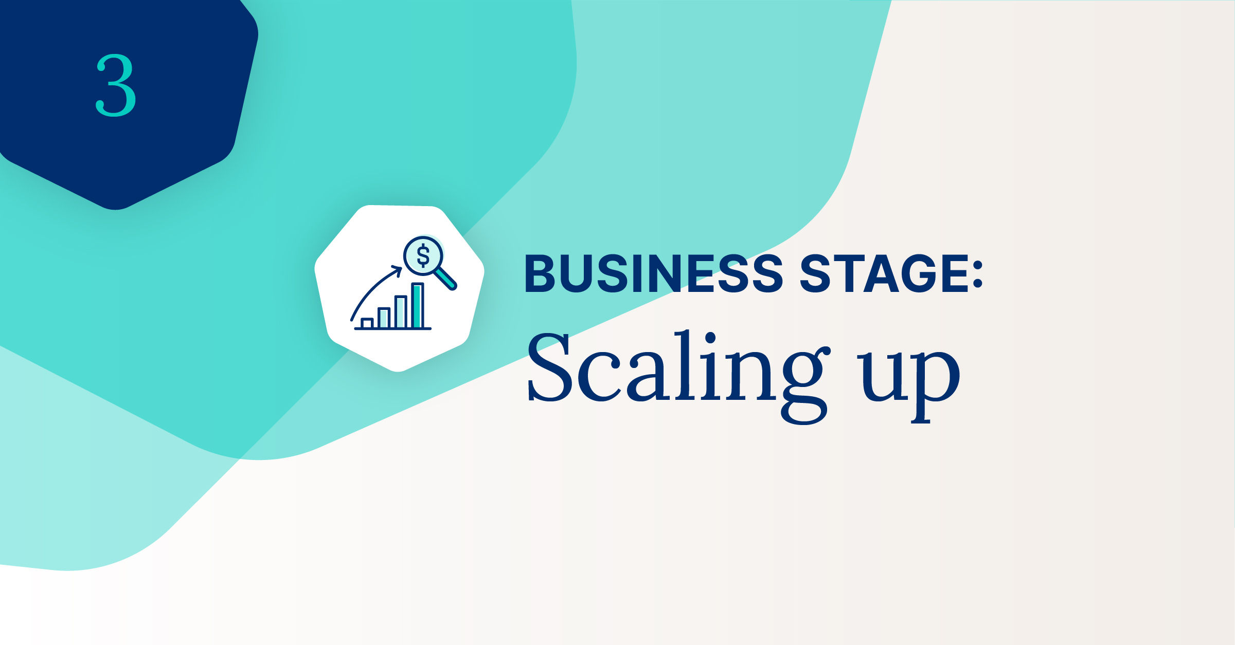 Scaling Up: Challenges and priorities of the 3rd business growth stage