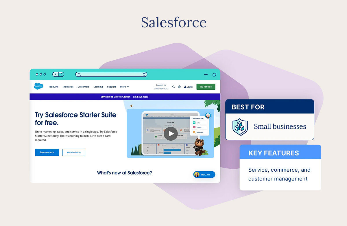 The Salesforce homepage highlighting its Starter Suite program for sales and marketing.