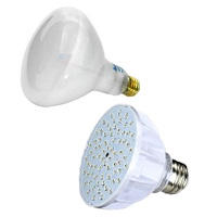 Pool & Spa Replacement Bulbs