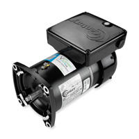 Variable Speed Pool Pump Motors