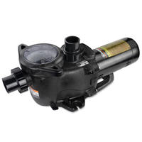 Inground Pool Pumps