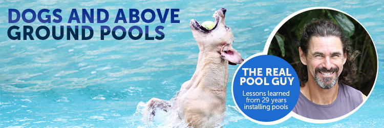 Dogs and Above Ground Pools