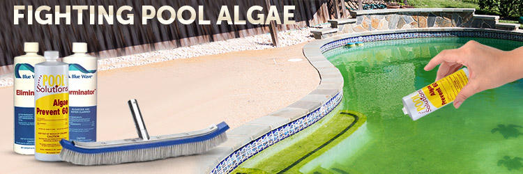 Fighting Pool Algae