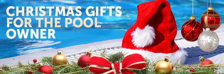 Christmas Gifts For The Pool Owner