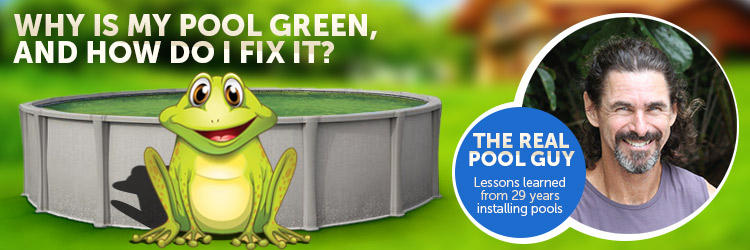 Your Above Ground Pool Is Green and It Has Frogs