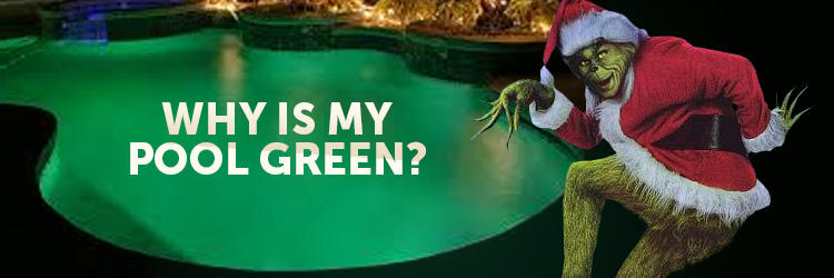 Why Is My Pool Green?