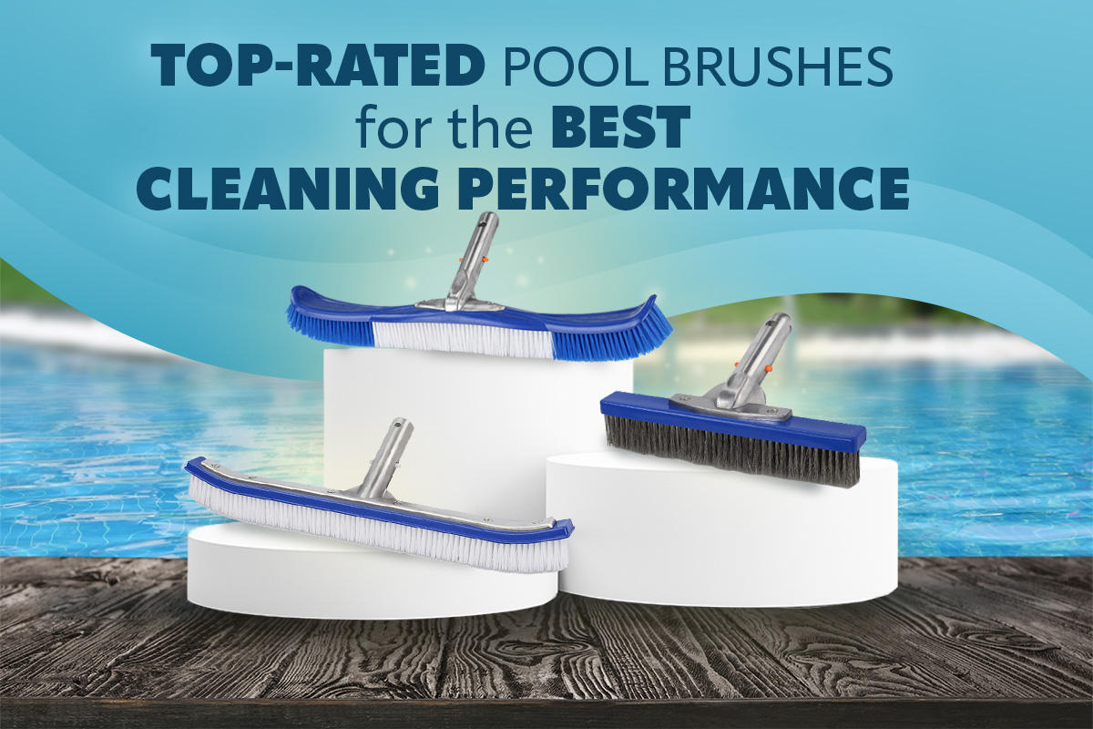 Top-Rated Pool Brushes for the Best Cleaning Performance