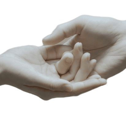 Professional Instructors