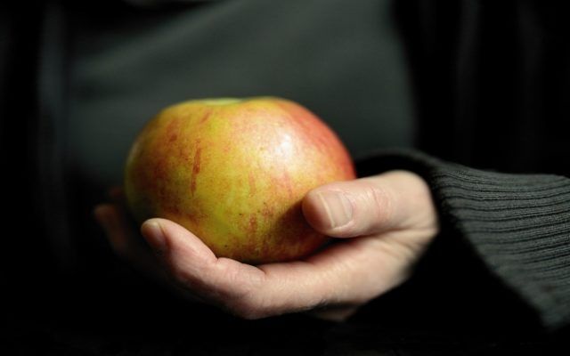 Jakość handlowa artykułów rolno spożywczych – nowe kompetencje, obszary i techniki urzędowej kontroli
