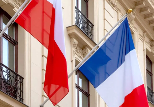 Walka z korupcją z perspektywy polskiej i francuskiej: wyzwania, rozwiązania praktyczne i skuteczne stosowanie prawa