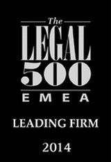 L500 2014 leading firm