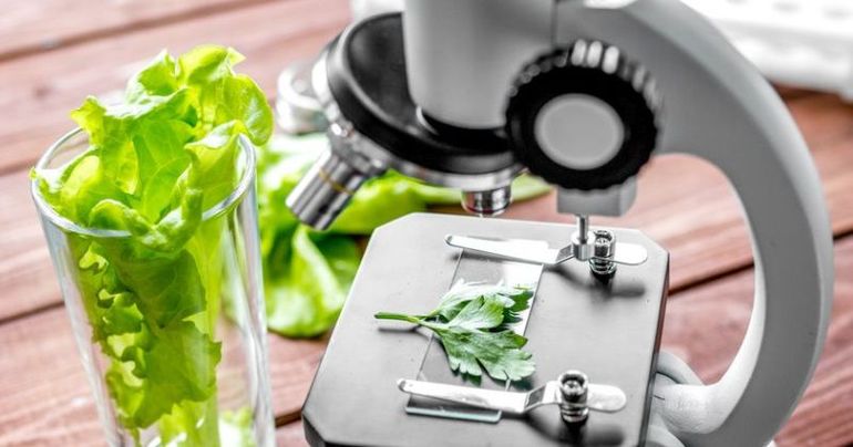 concept healthy food inspection herbs in laboratory