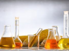 Technologia modyfikacji genetycznej CRISPR-Cas 9 w żywieniu