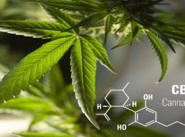 Czy istnieją sposoby na reklamowanie tzw. medycznej marihuany (konopi indyjskich)?