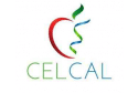 Celcal