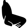 Mar del Plata