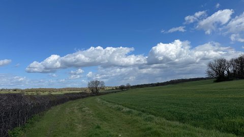 50% is half the battle