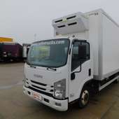Camion ISUZU (Cod 75857)