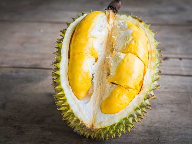 Tips Menghilangkan Bau Durian Di Mobil