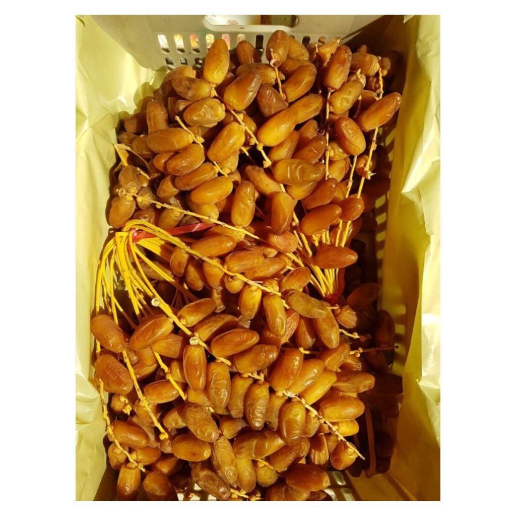 R8 - Dattes régime 8kg