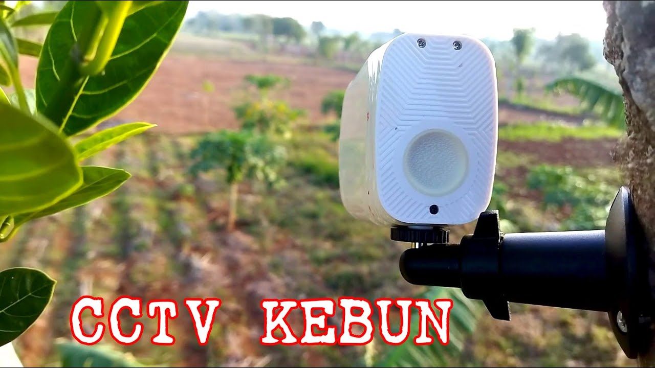 Monitoring Kebun
