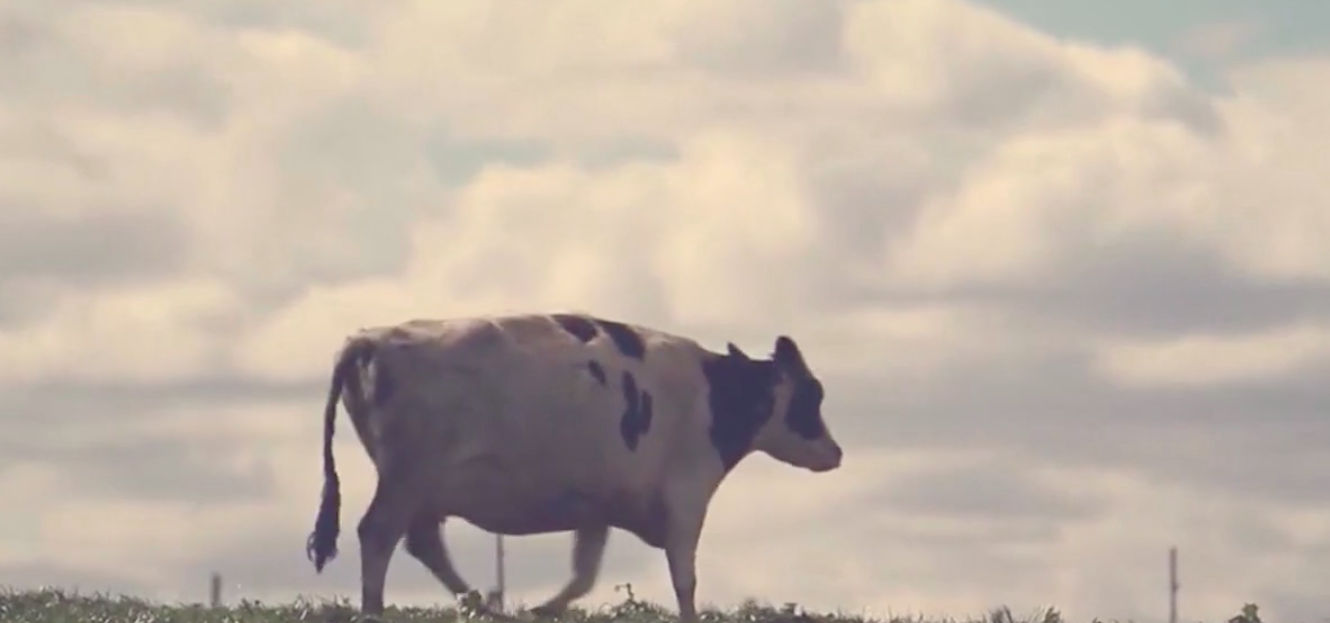 Delaval