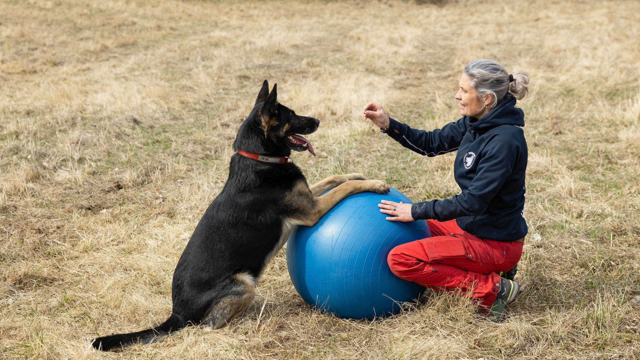 Britta Agardh och hund och boll