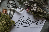 Hollywise Preview1