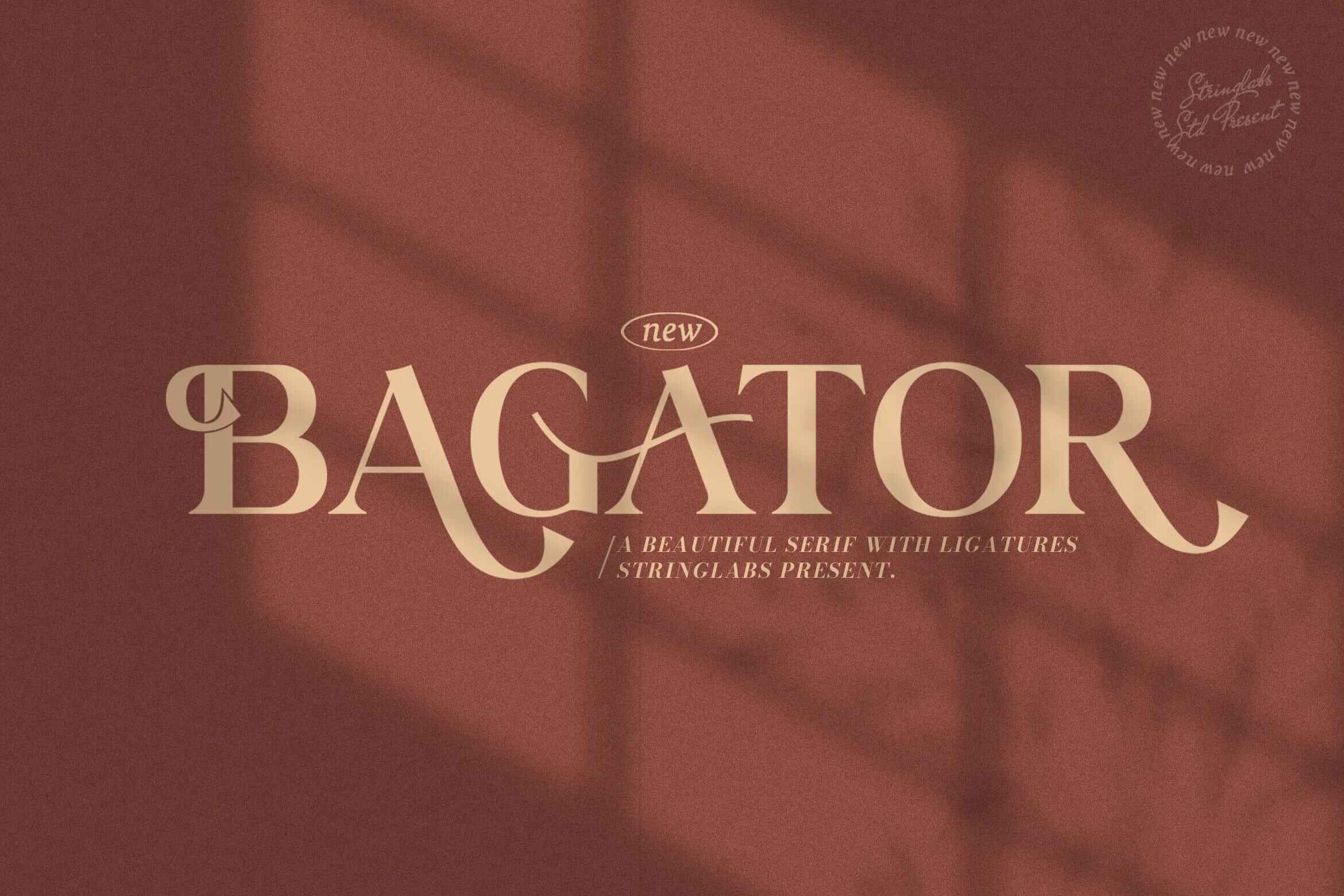 Bagator Beautiful Serif Font
