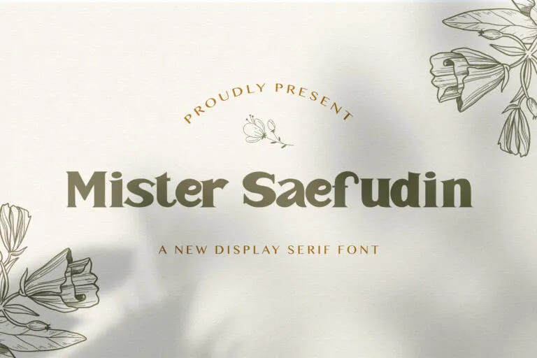 Mister Saefudin Display Serif Font