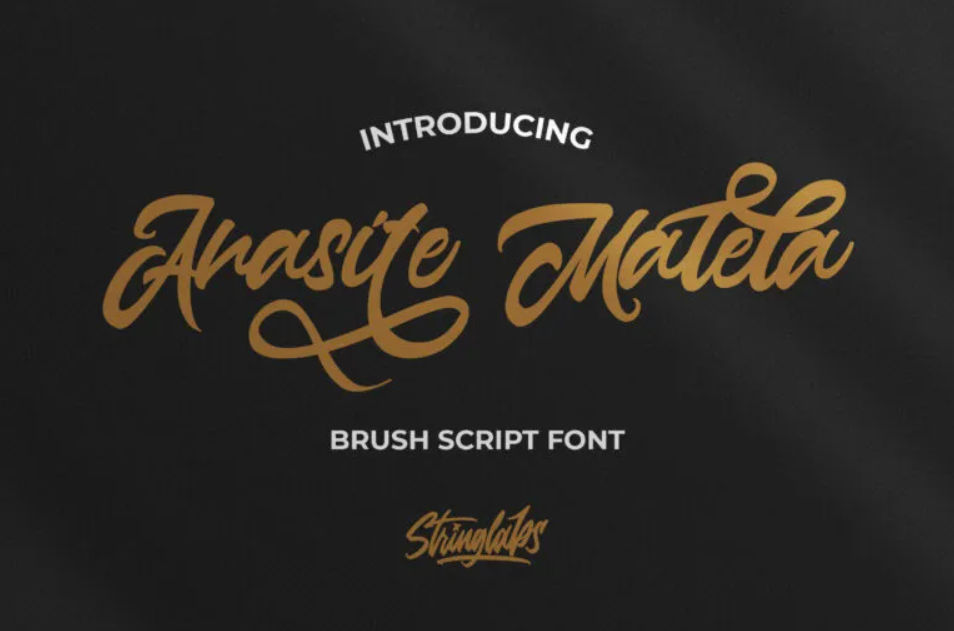 Script Font 25 31 Vintage Script Fonts for Your Everlasting Designs - StringLabs