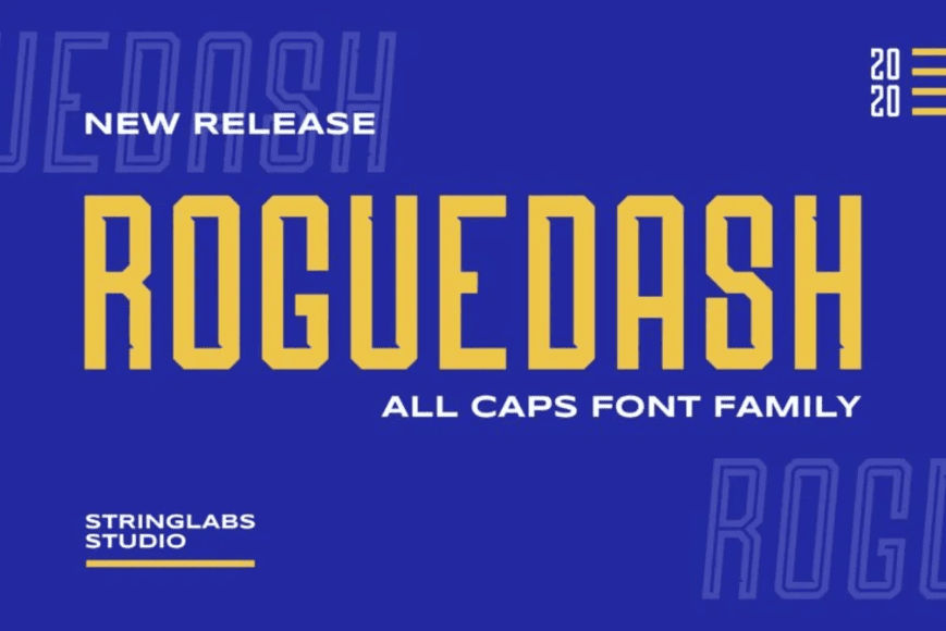 15. Roguedash