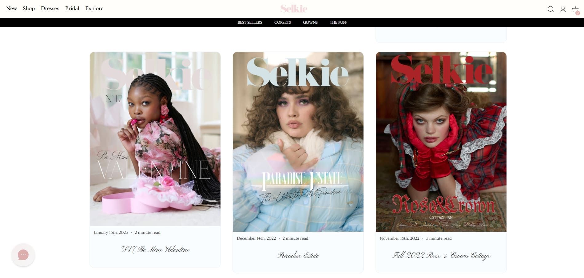 Selkie website blog