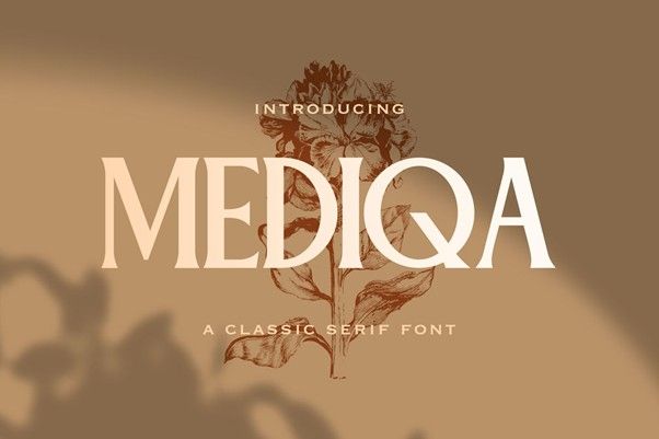 Mediqa classic serif font