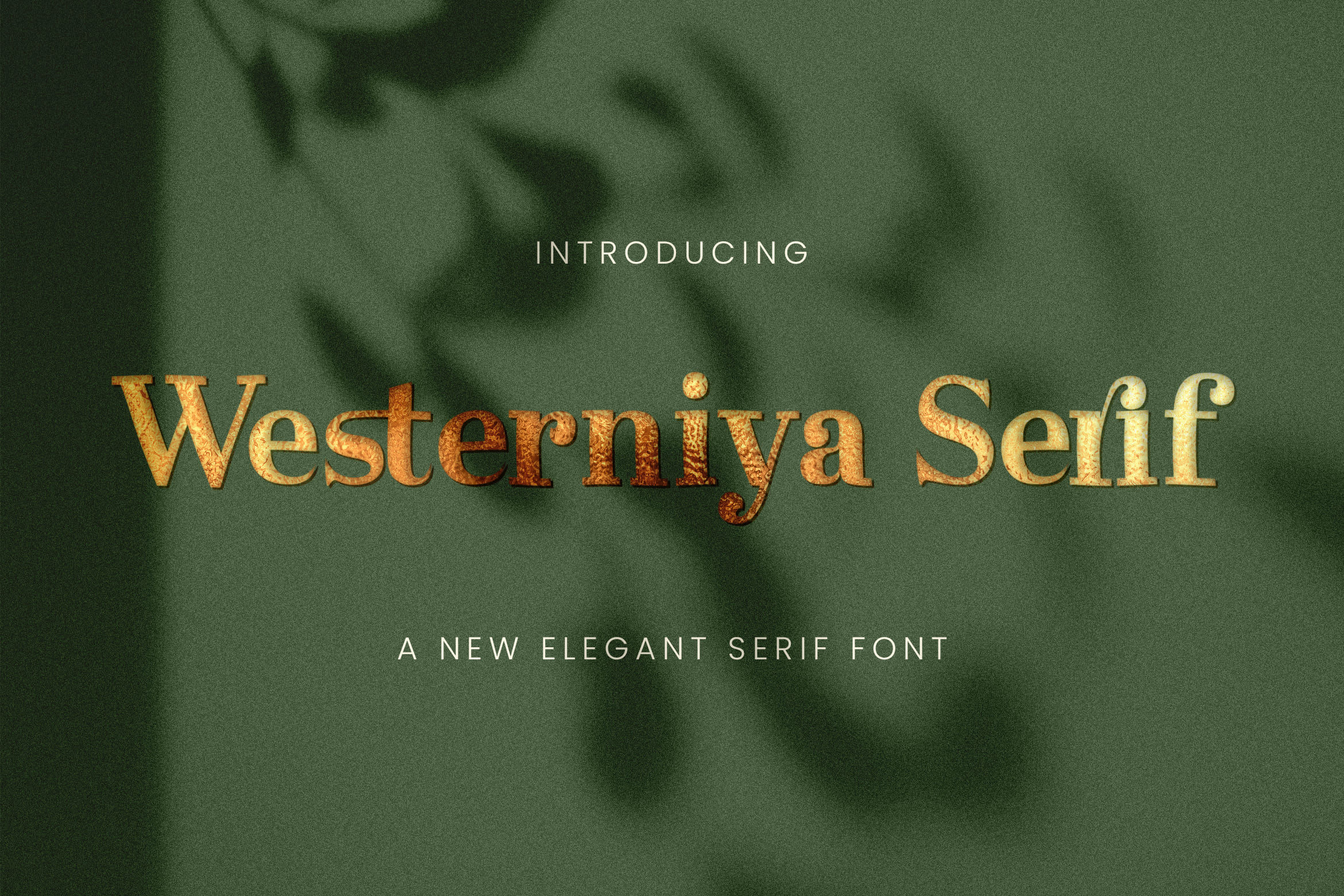 18. Westerniya Serif