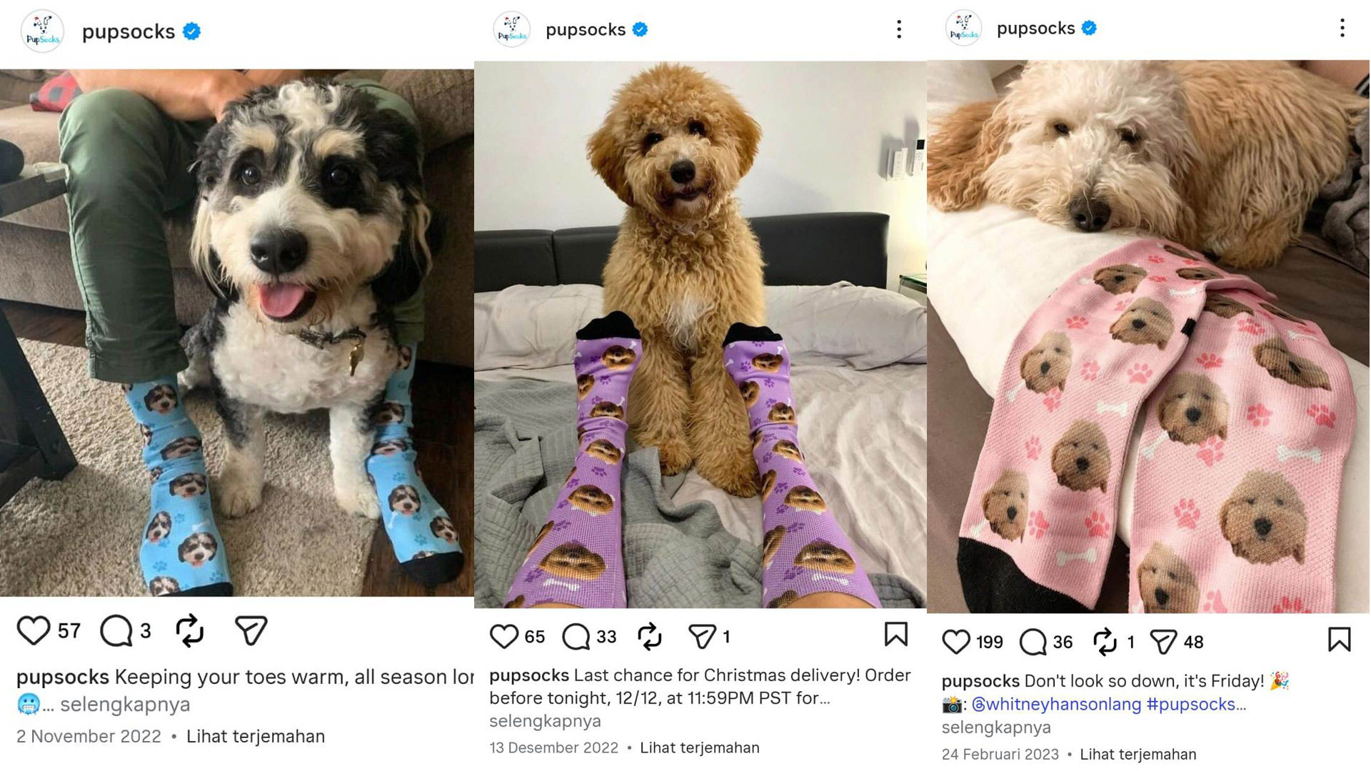 PupSocks Instagram ad
