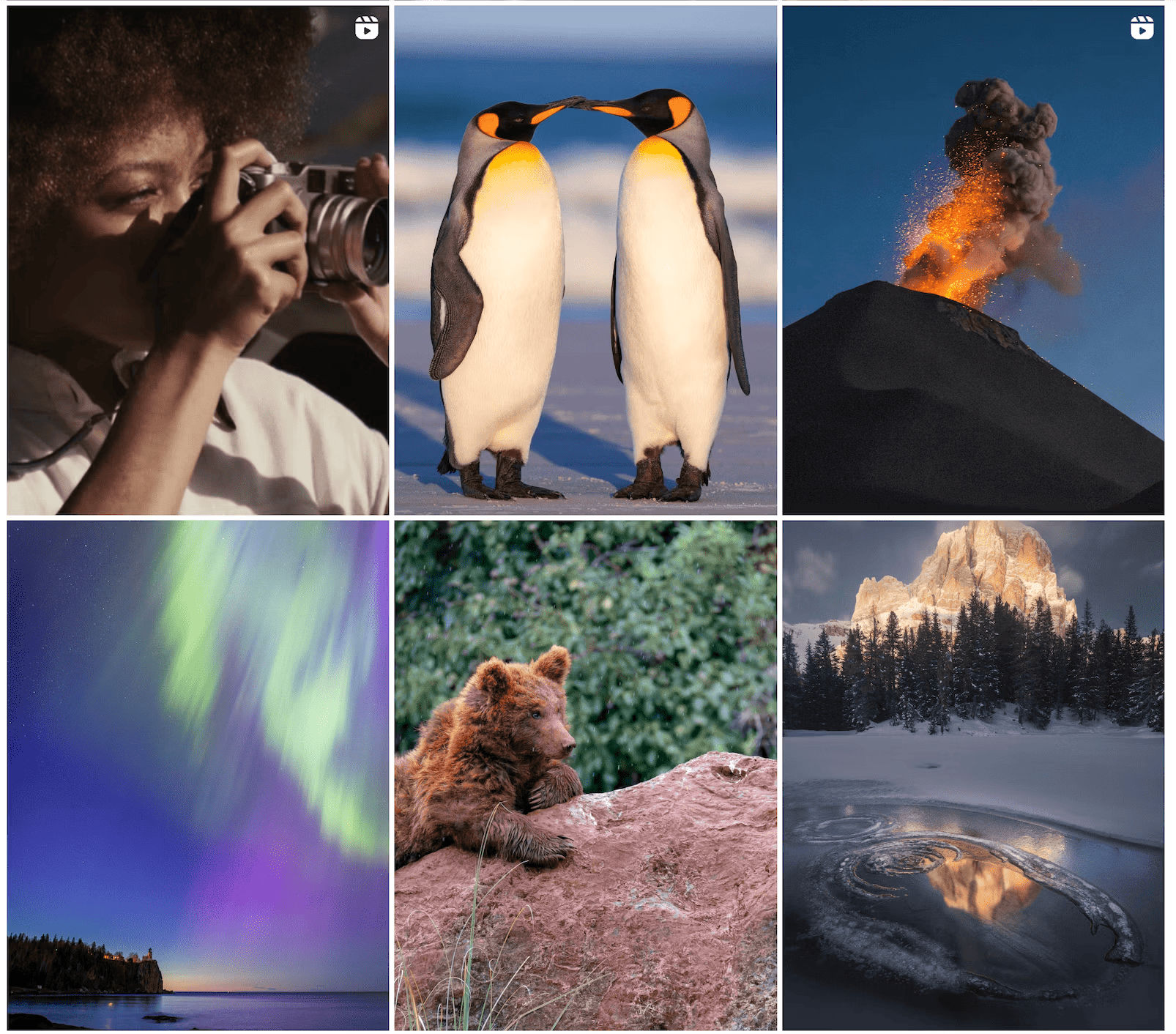 National Geographic Your Shot community wildlife photography posts