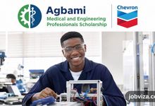 Agbami medical and engineering scholarship 2026