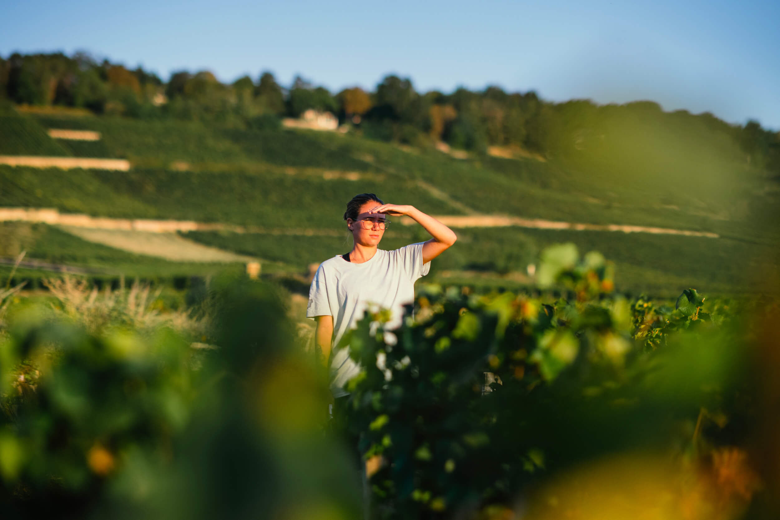 Notre équipe - Domaine Chanson