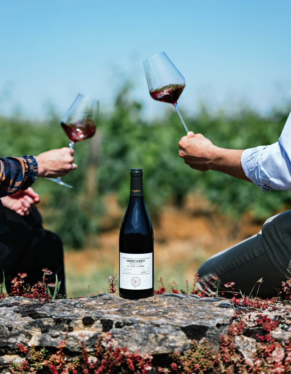 Accueil - Domaine Chanson