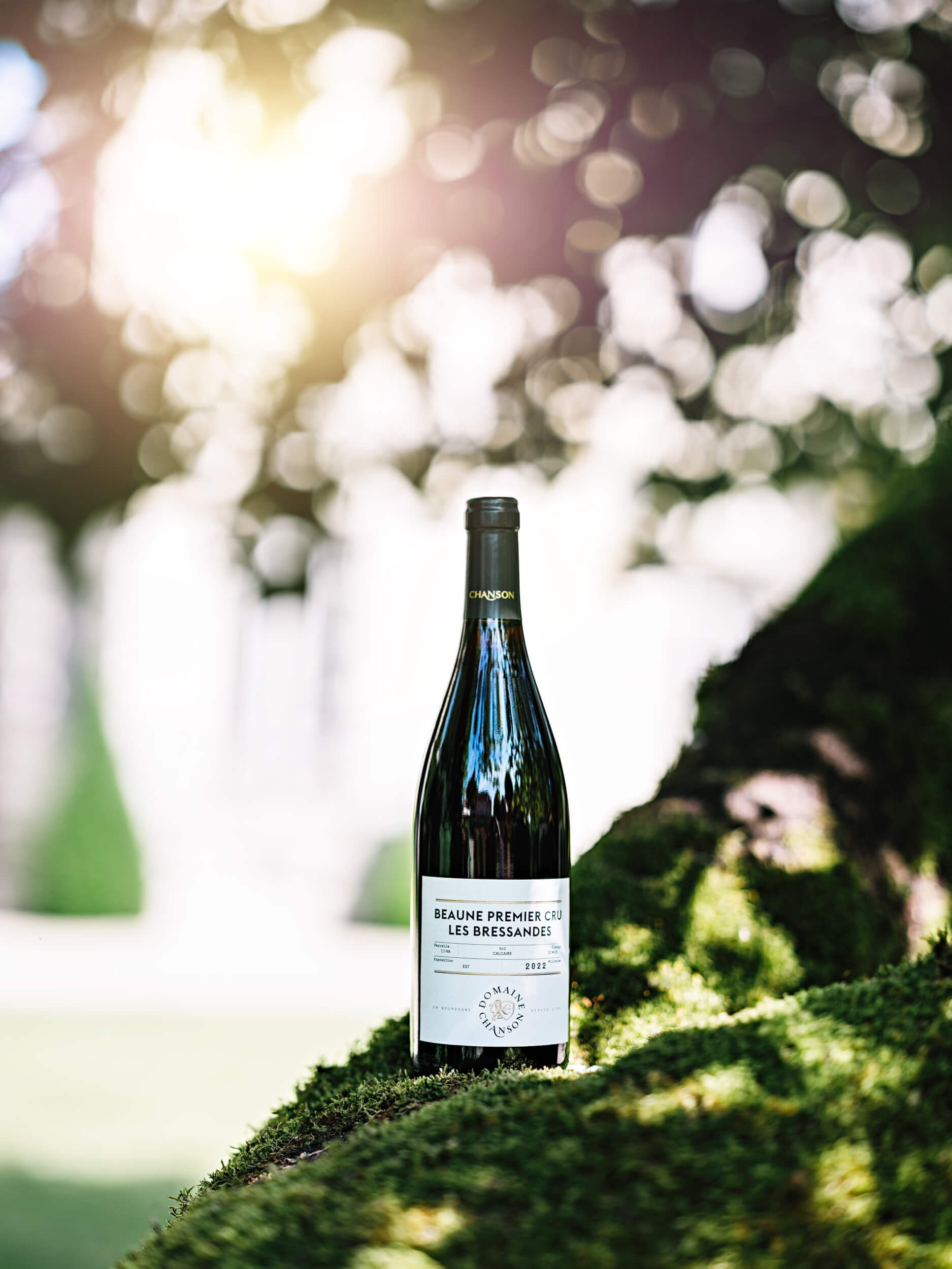 Beaune 1er Cru Les Bressandes - Domaine Chanson