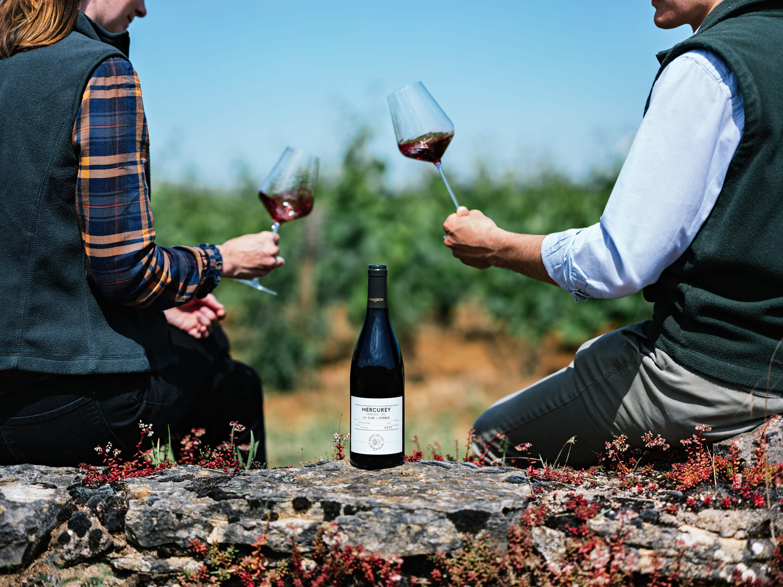 Accueil - Domaine Chanson