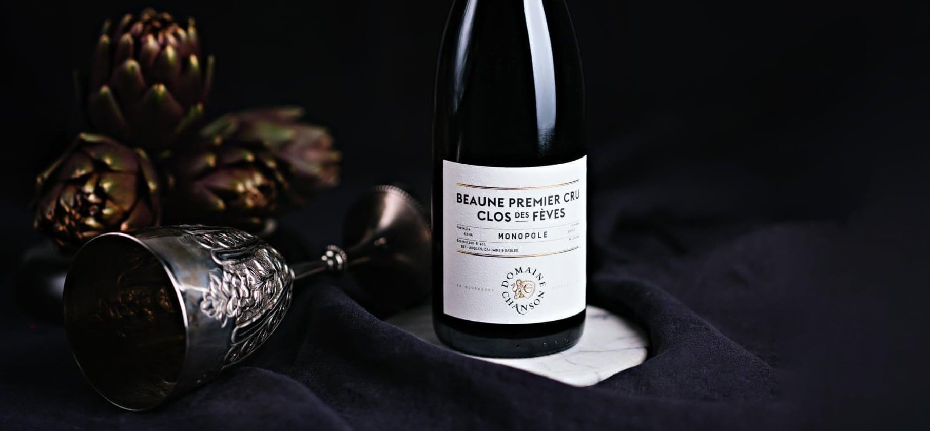Galerie - Domaine Chanson