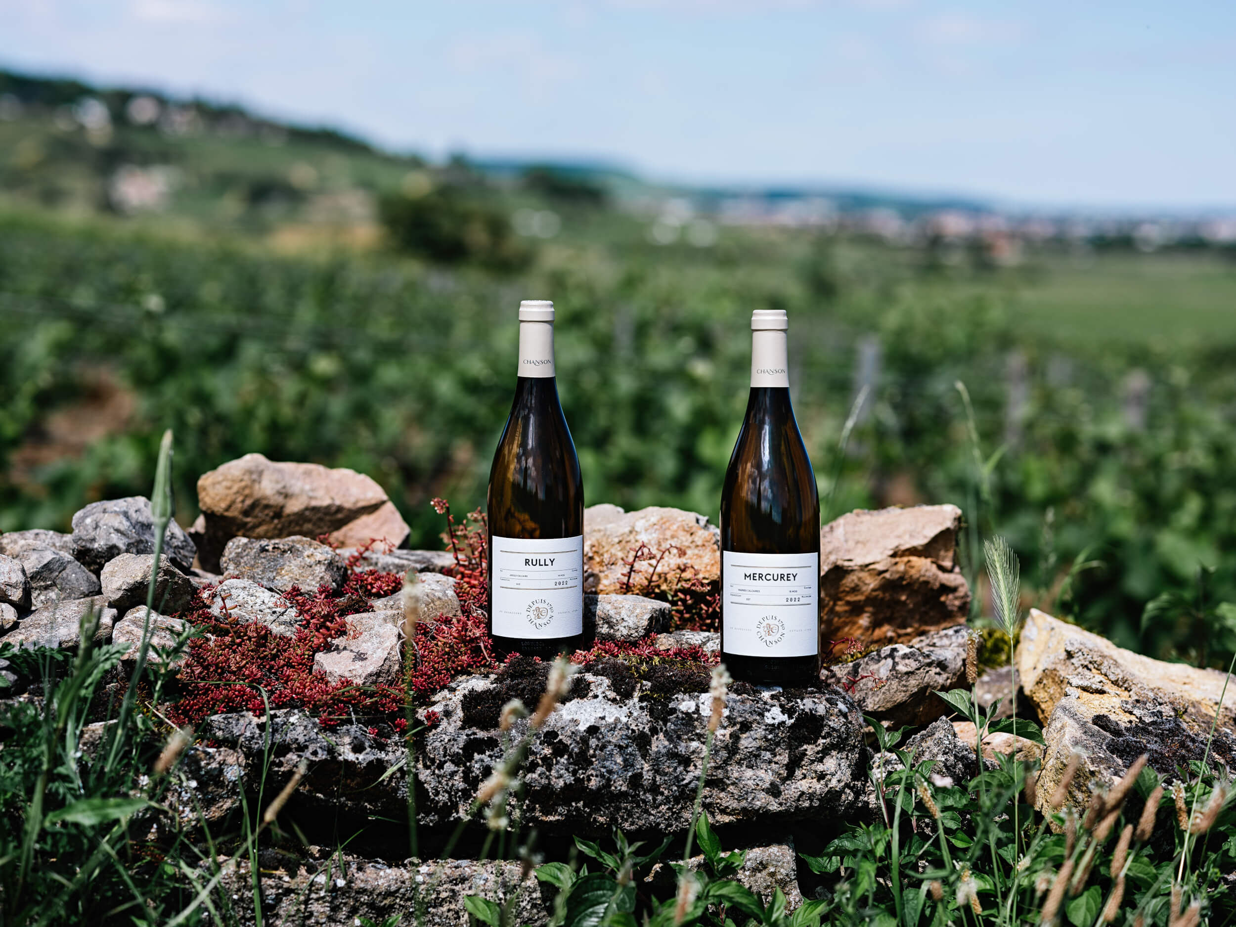 Domaine Chanson Mercurey et Rully