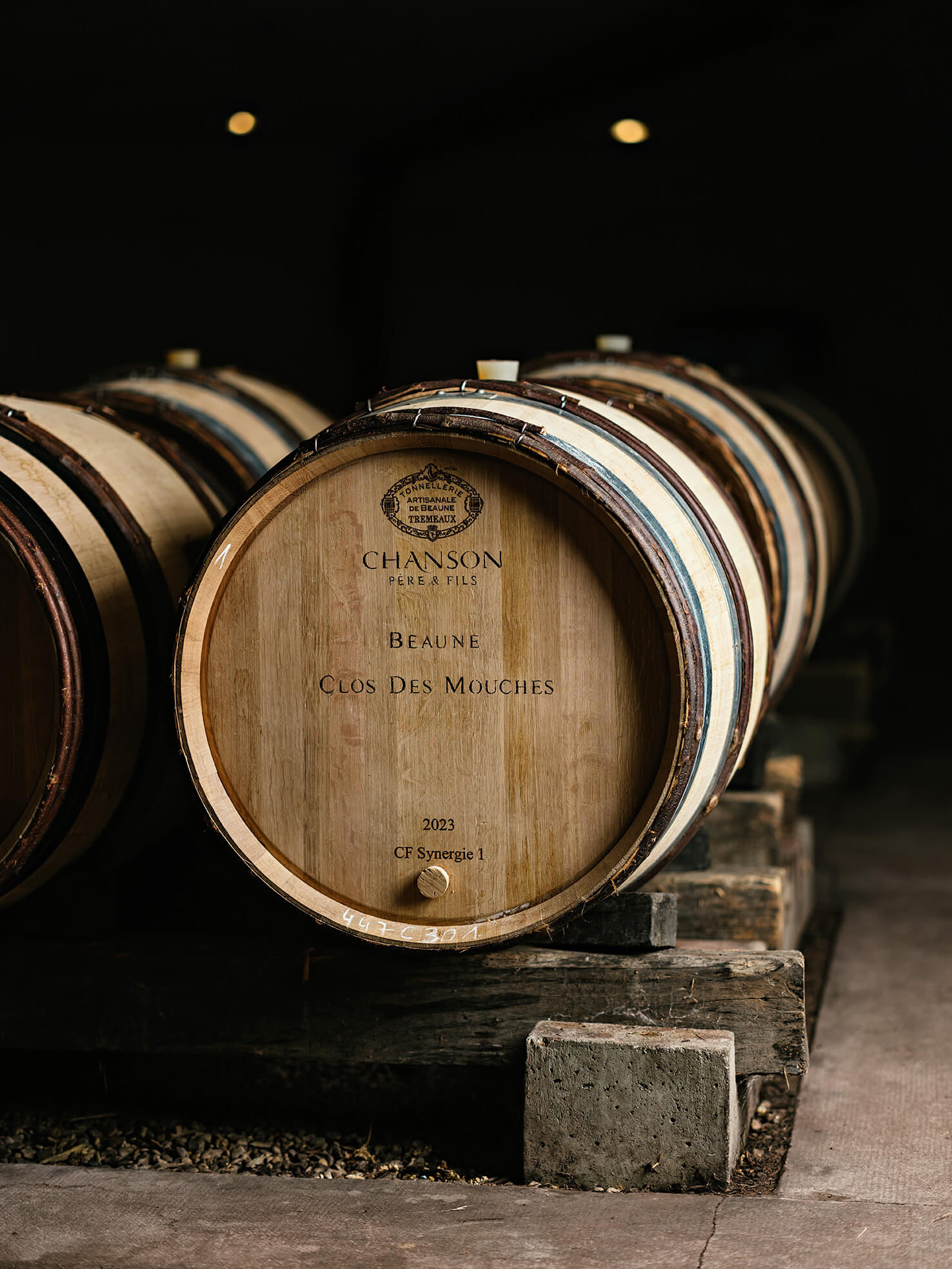 Accueil - Domaine Chanson