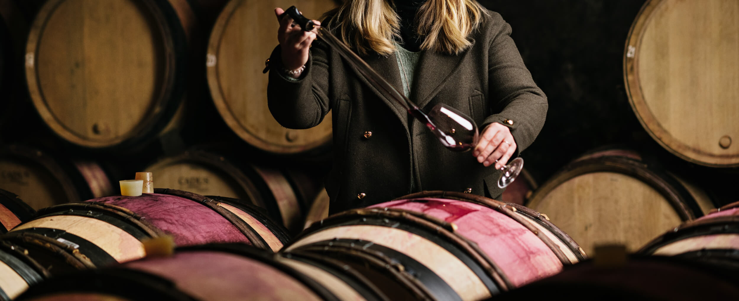 Bourgogne Pinot Noir Réserve du Bastion - Domaine Chanson