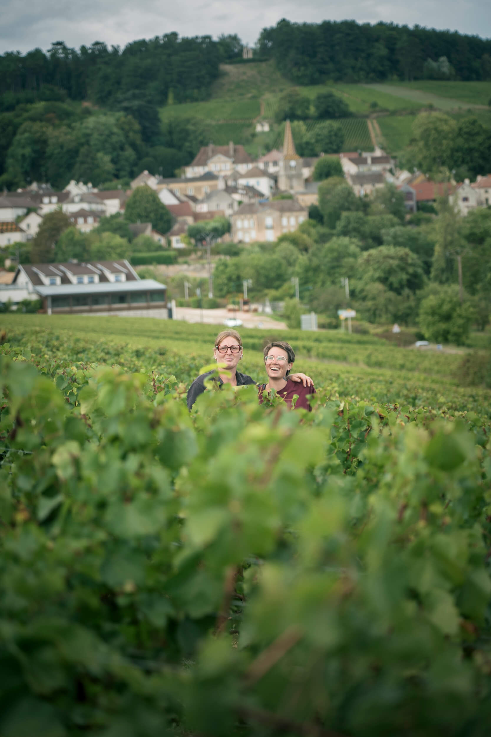 Notre équipe - Domaine Chanson