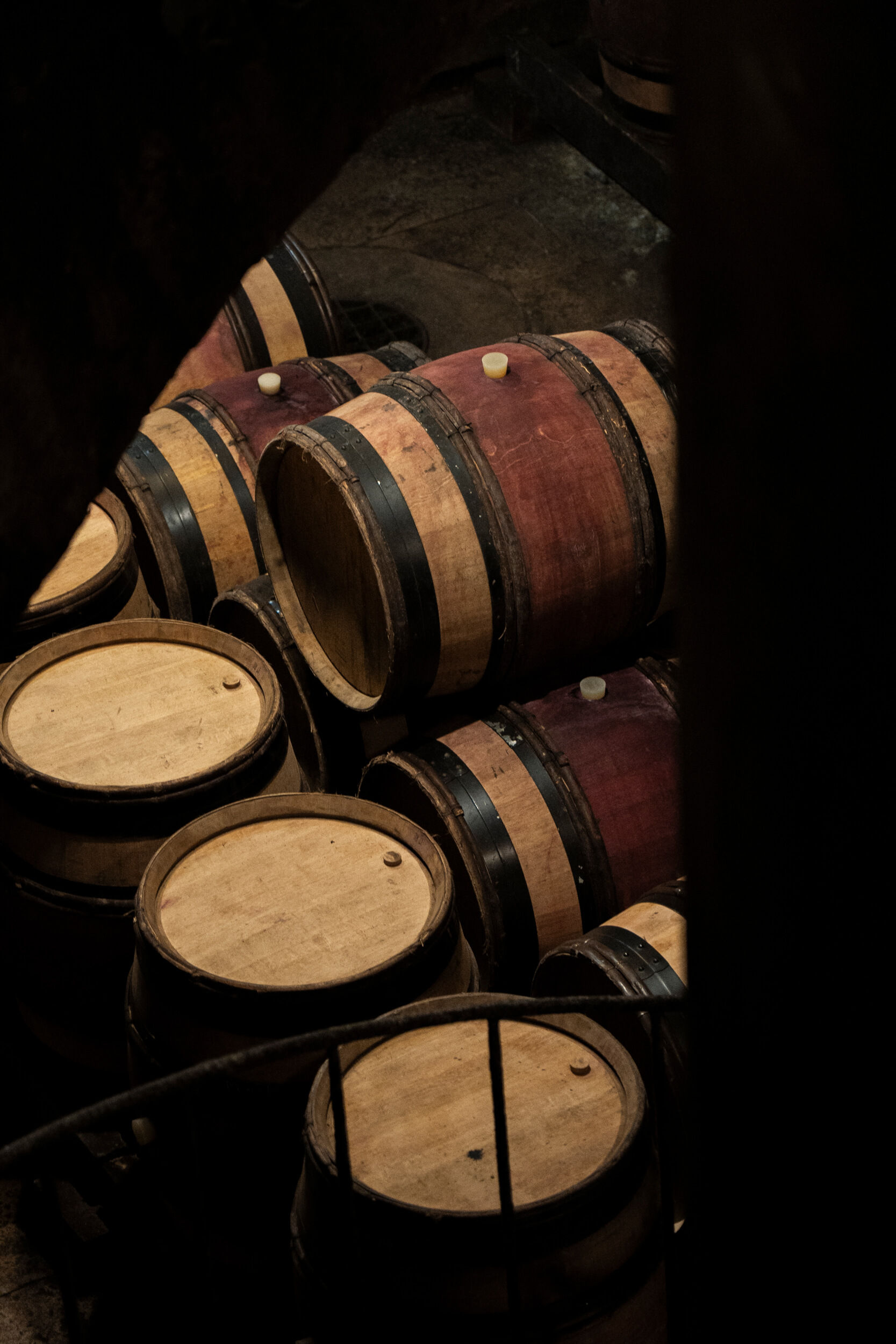 Le Bastion de Beaune - Domaine Chanson